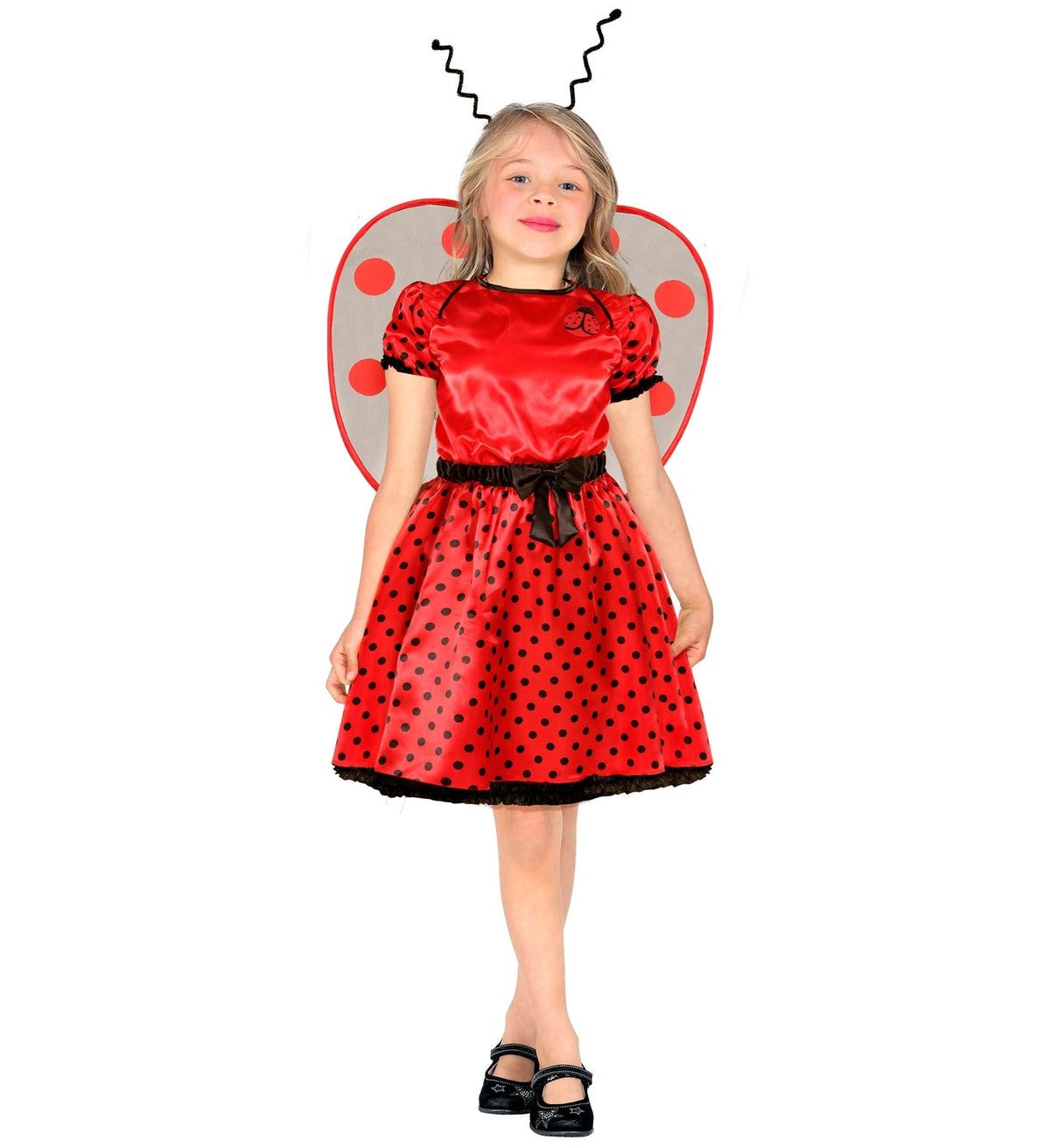Ladybug