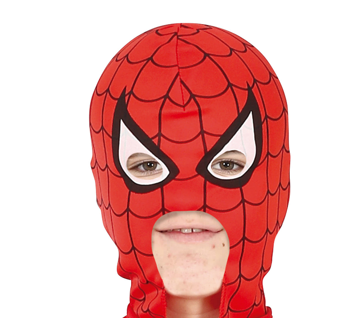 Muscular Spider Hero