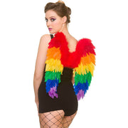 Rainbow Wings